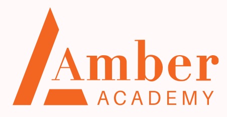 Công ty Cổ phần Giáo dục Amber Academy