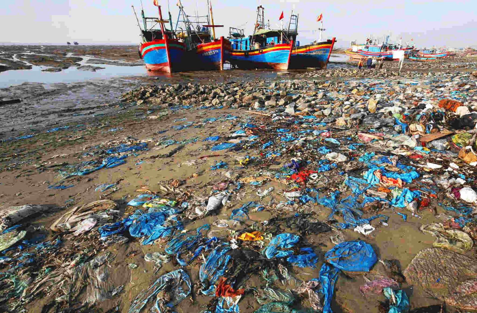 Ô nhiễm môi trường biển nhưng hình ảnh ô nhiểm | Thông báo